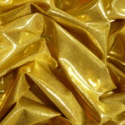 METALLIC LYCRA GOLD ON GOLD