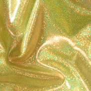 SANDY HOLOGRAM LYCRA GOLD ON GOLD