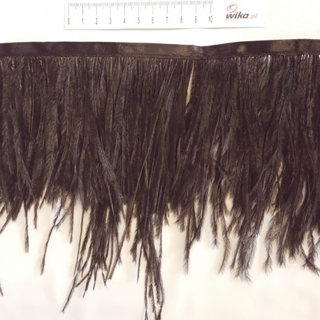 OSTRICH FEATHERS FRINGES 2PLY BLACK