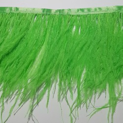 OSTRICH FEATHERS FRINGES 2PLY APPLE GREEN