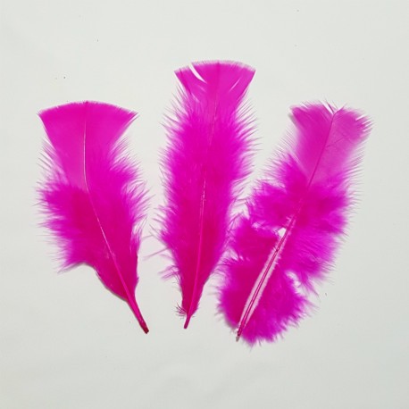 FEATHERS 10