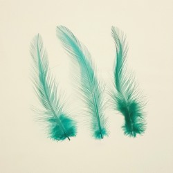 FEATHERS 08
