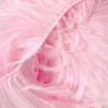 OSTRICH FEATHERS FRINGES 3PLY CC SUGAR PINK
